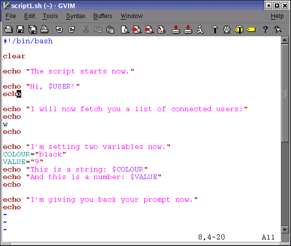 Bash script example linux